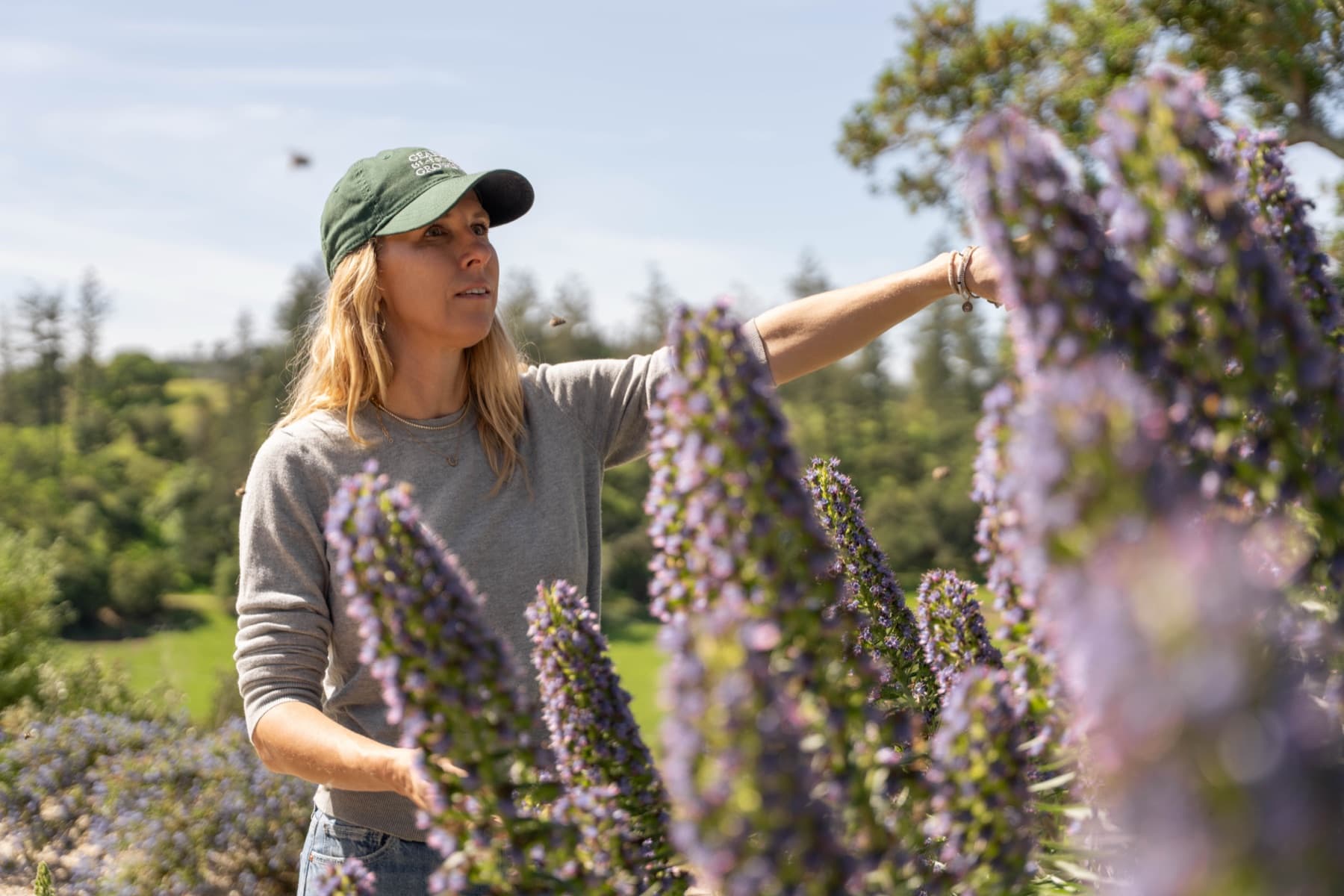 Megan Mokri working in a Sonoma County landscape